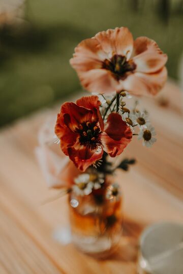 mariage à rabastens